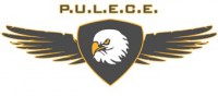 P.U.L.E.C.E